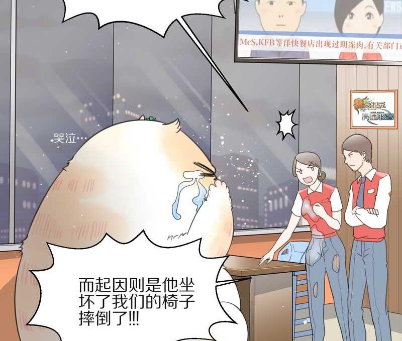 毛球星传说 第10集26