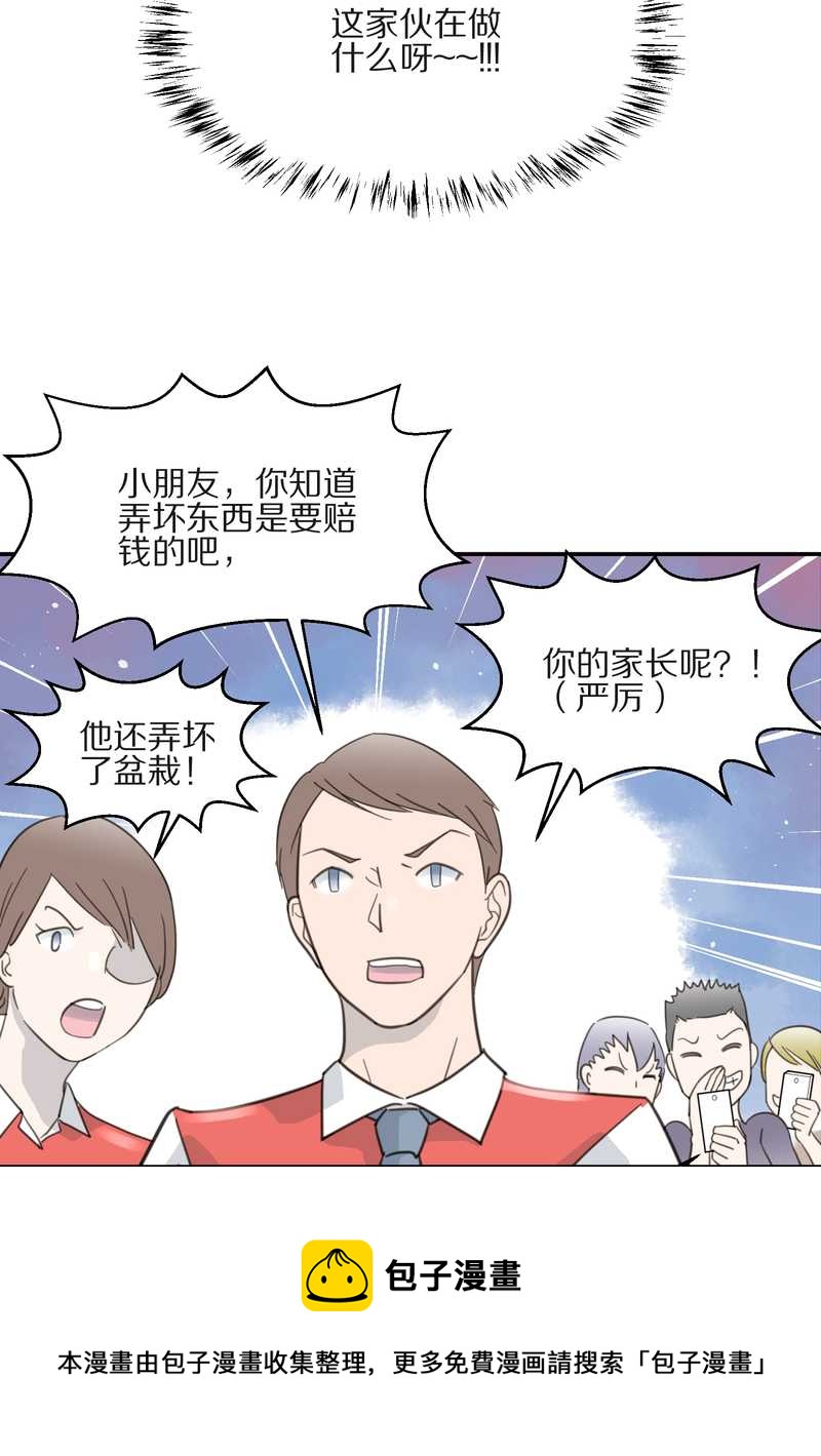 毛球星传说 第10集28