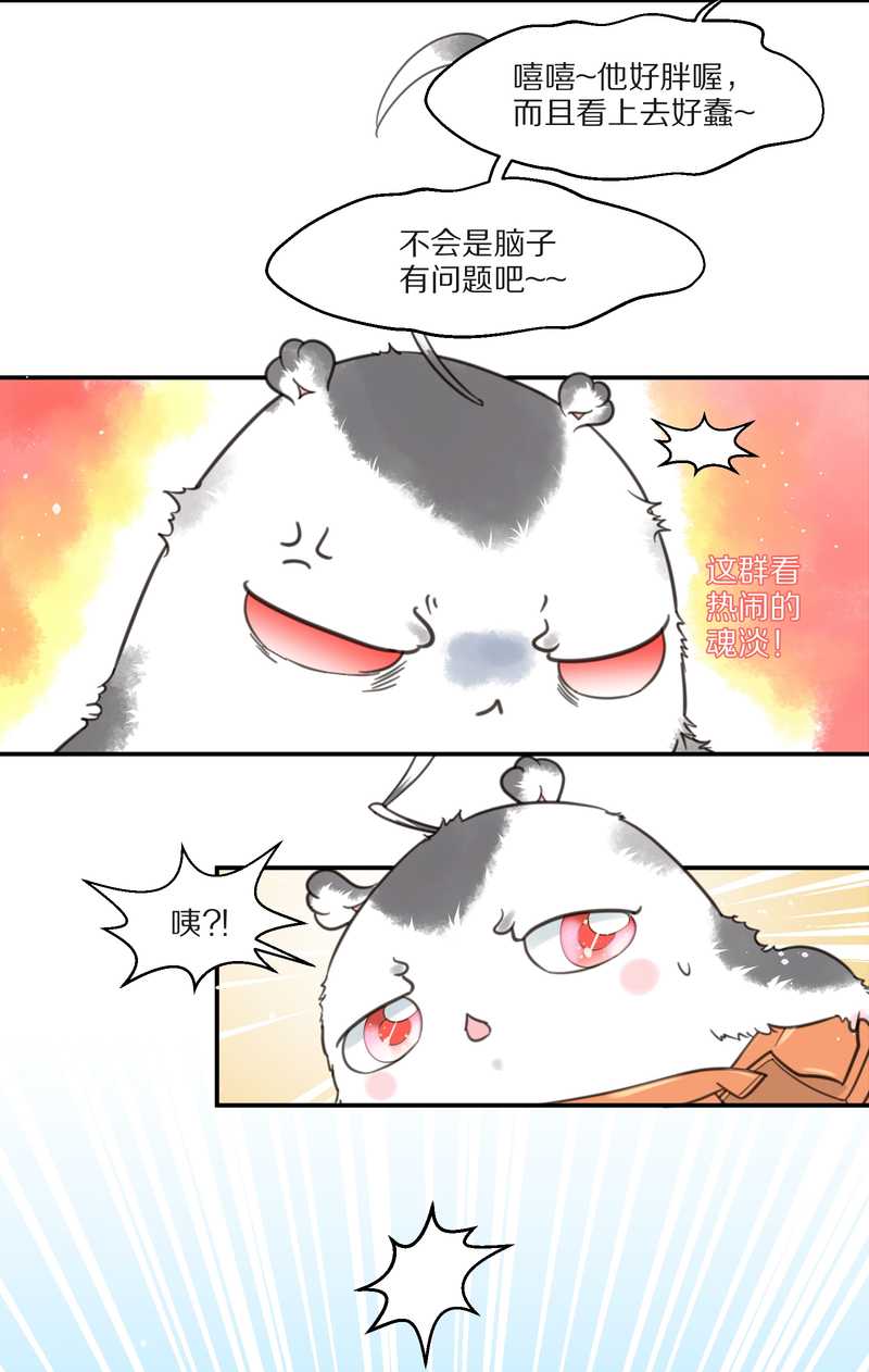 毛球星传说 第10集29