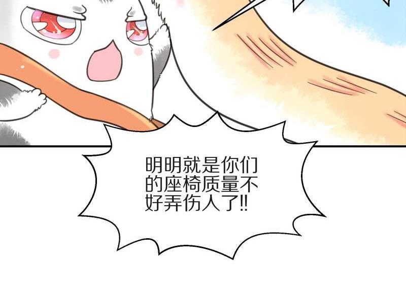 毛球星传说 第10集33