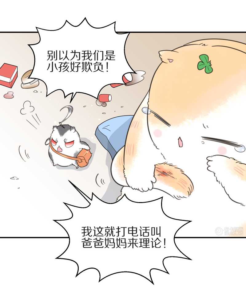 毛球星传说 第10集34