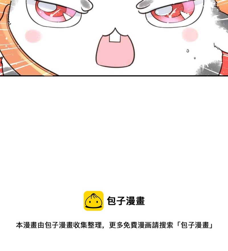 毛球星传说 第10集36