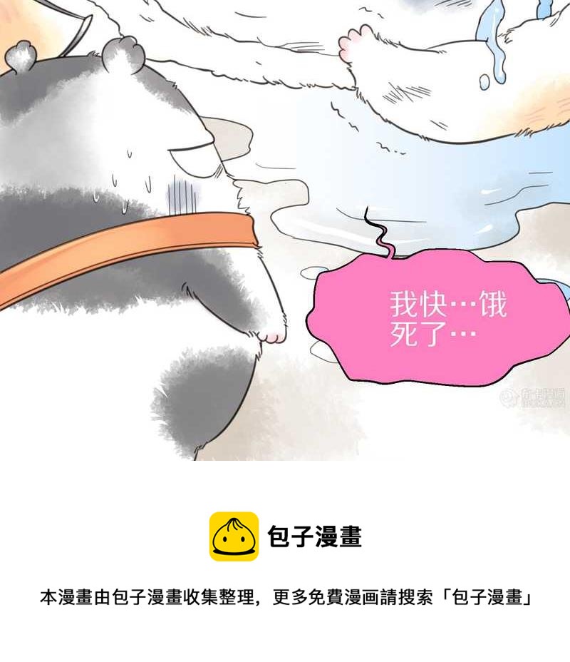 毛球星传说 第10集4