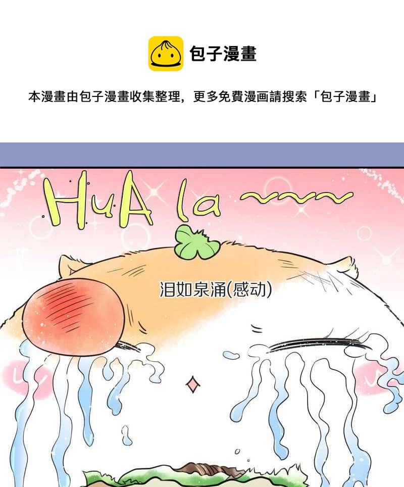 毛球星传说 第10集8