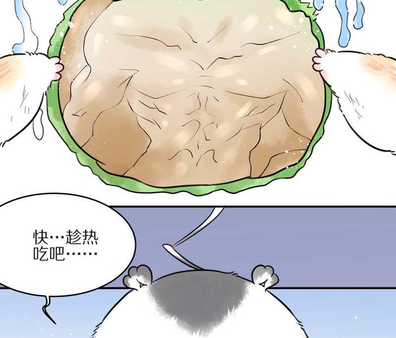 毛球星传说 第10集9