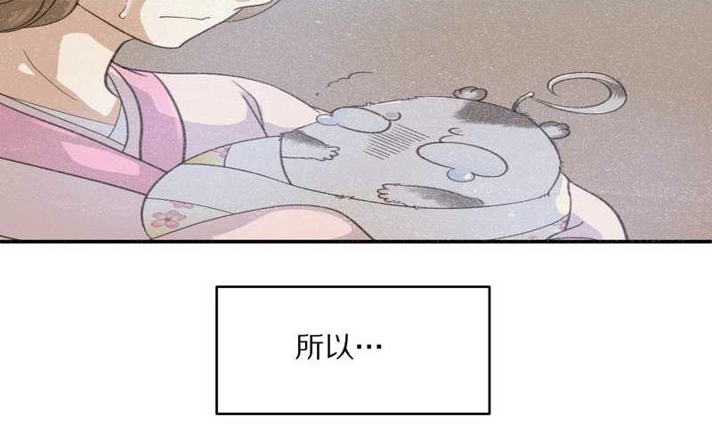 毛球星传说 第13集10