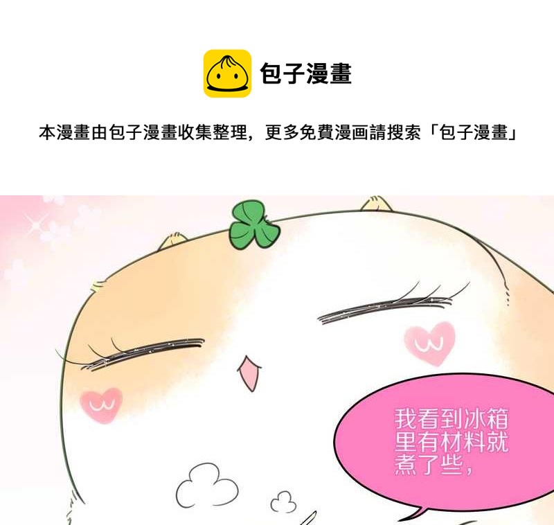 毛球星传说 第13集12