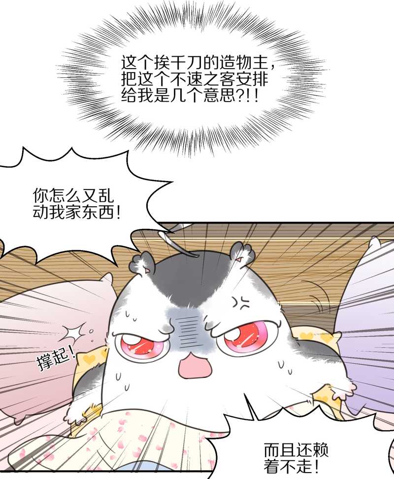 毛球星传说 第13集14