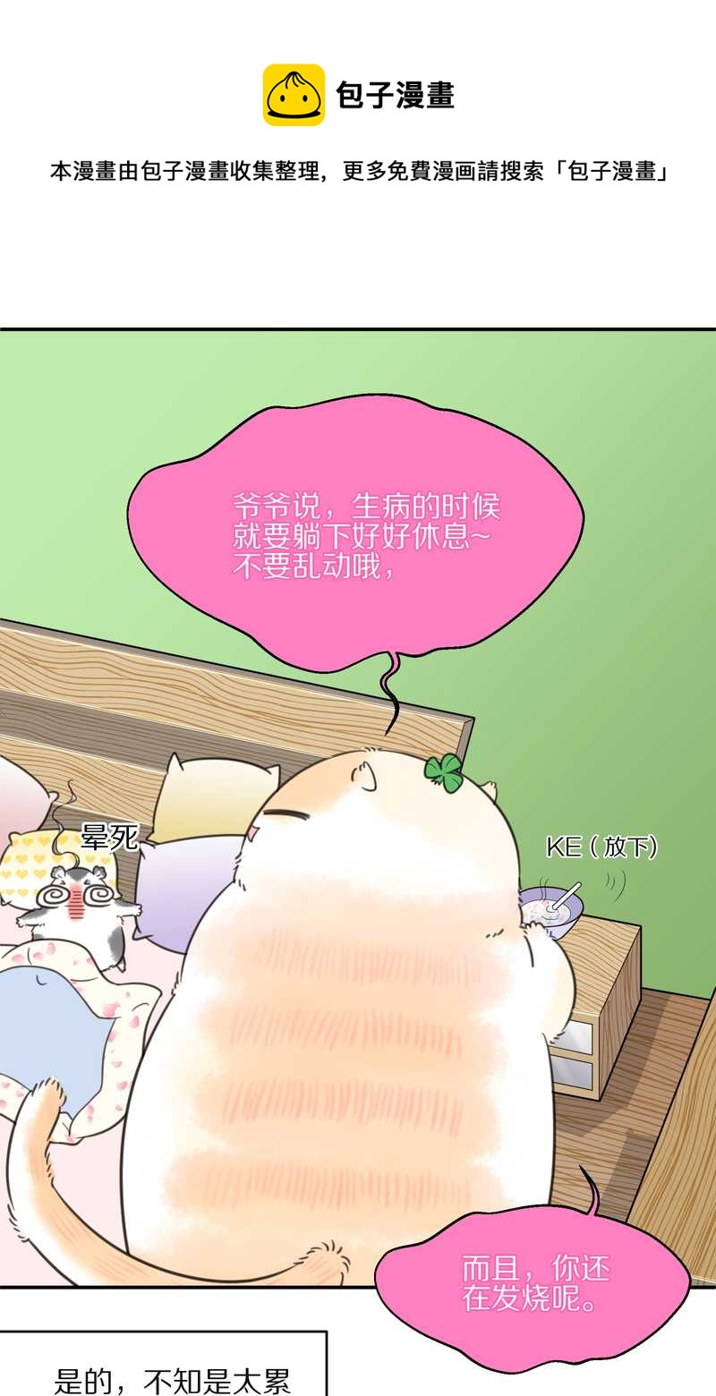 毛球星传说 第13集16