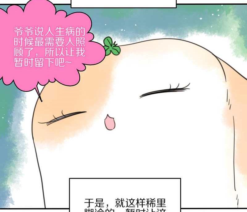 毛球星传说 第13集18