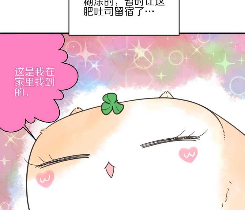 毛球星传说 第13集19