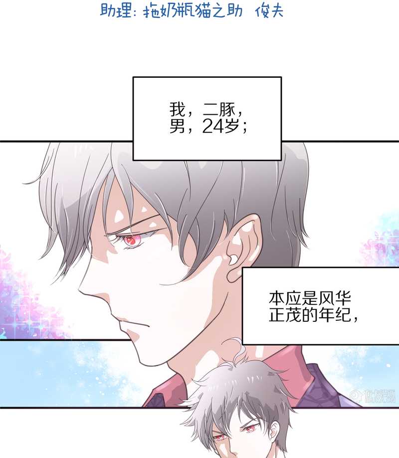 毛球星传说 第13集2