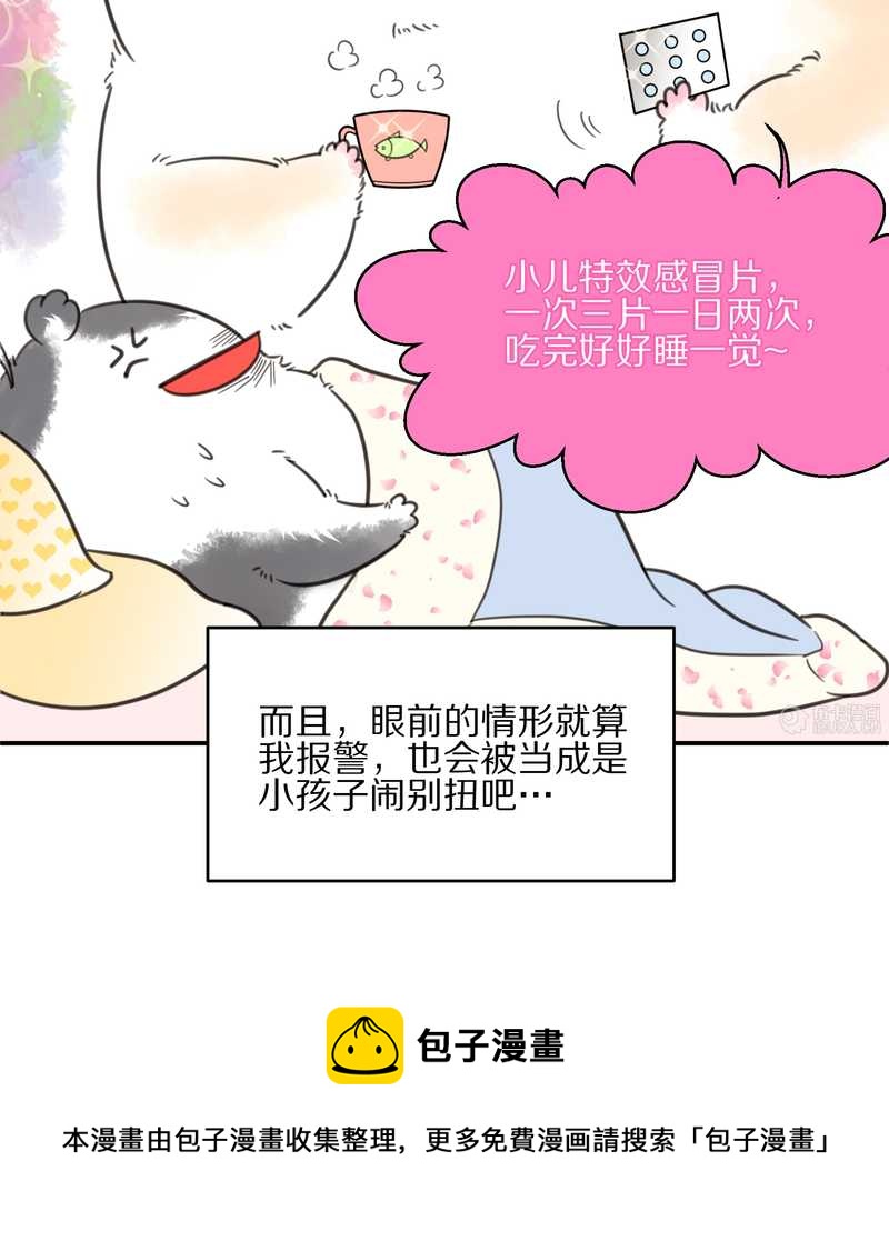 毛球星传说 第13集20