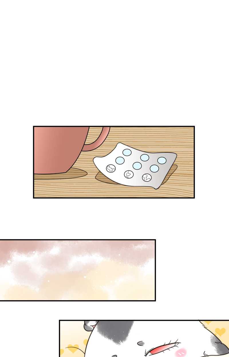 毛球星传说 第13集21