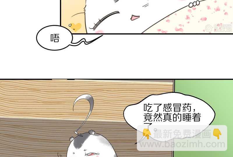 毛球星传说 第13集22