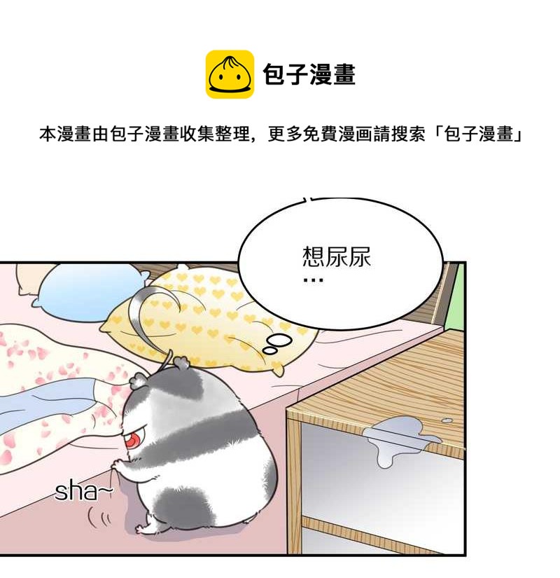 毛球星传说 第13集24