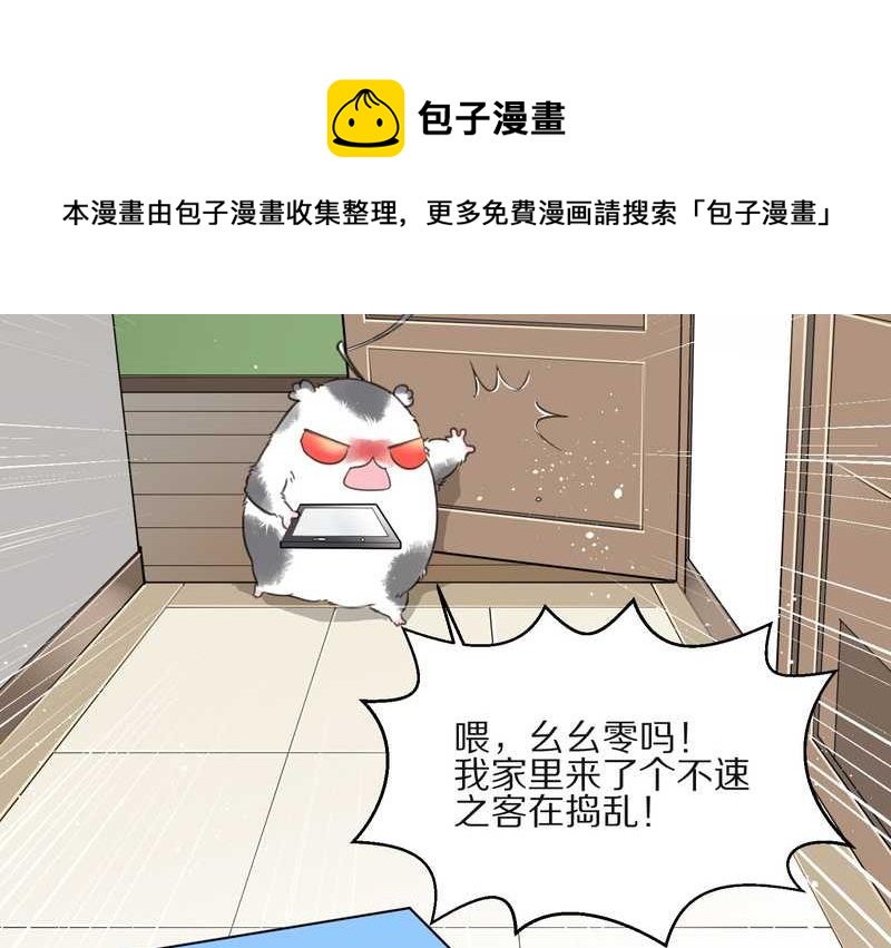 毛球星传说 第13集32