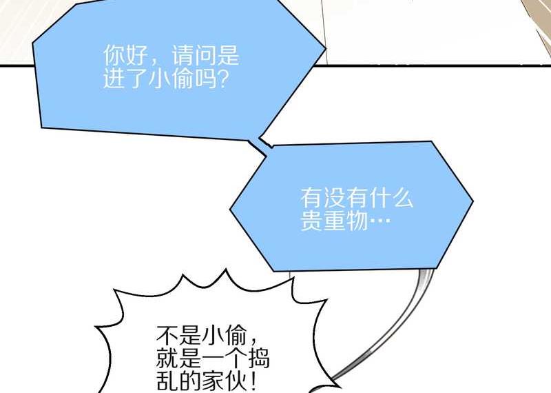 毛球星传说 第13集33