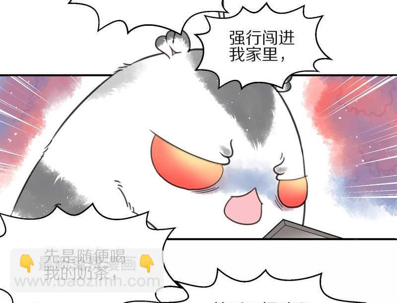 毛球星传说 第13集34