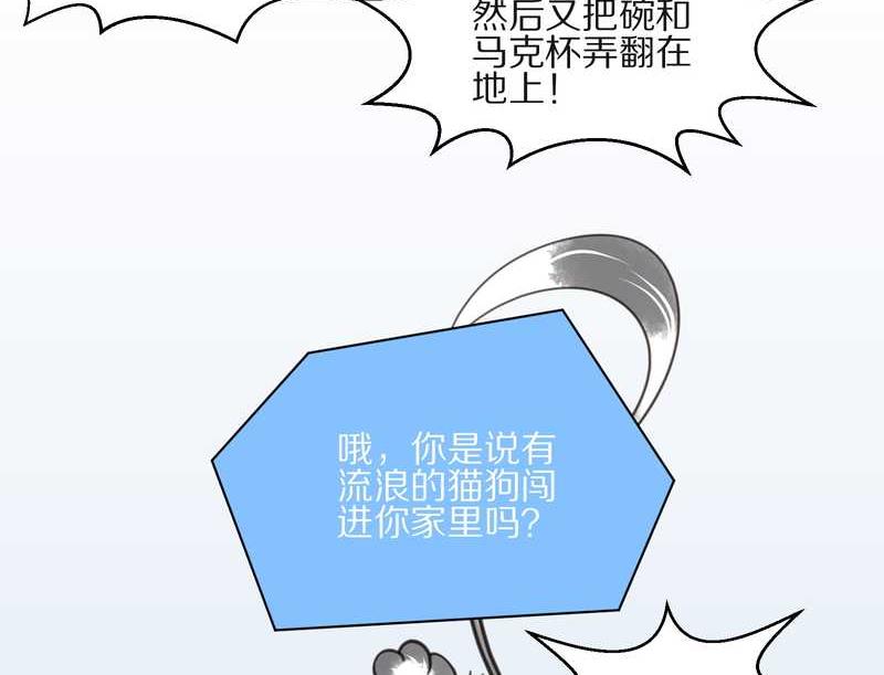 毛球星传说 第13集35