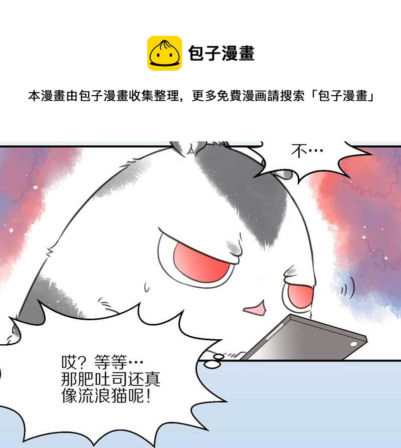 毛球星传说 第13集36