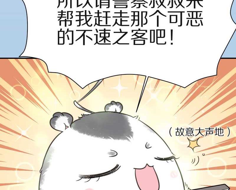 毛球星传说 第13集38