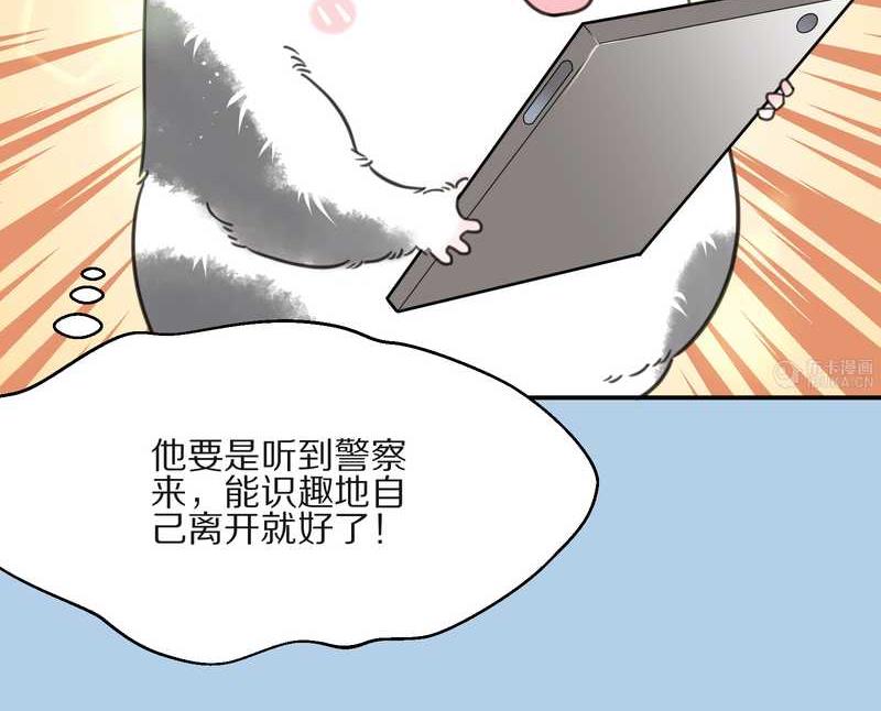 毛球星传说 第13集39