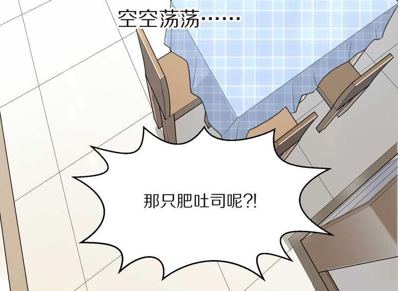 毛球星传说 第13集41
