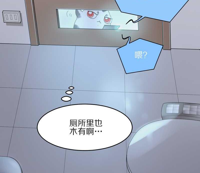 毛球星传说 第13集46