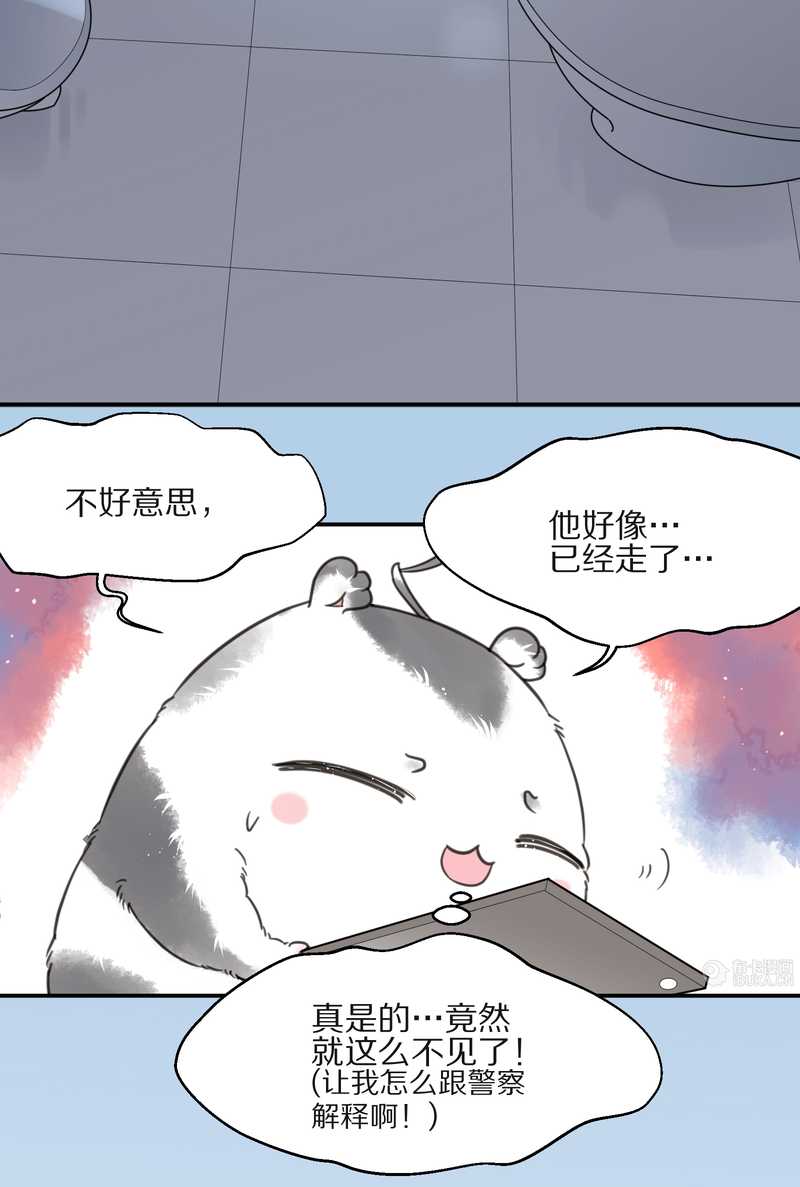 毛球星传说 第13集47