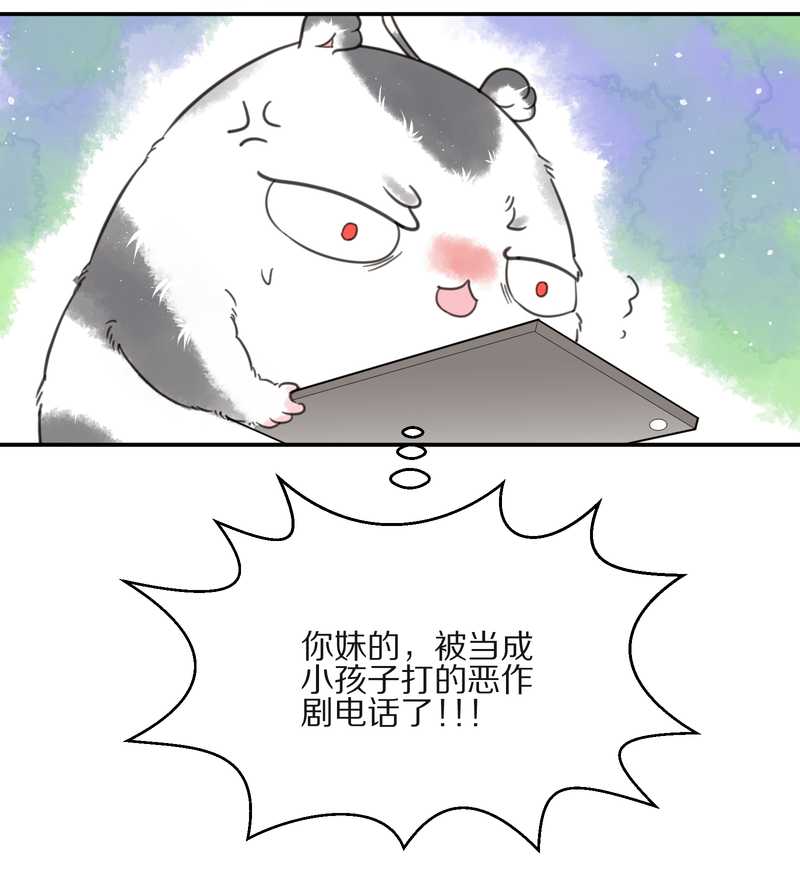 毛球星传说 第13集49