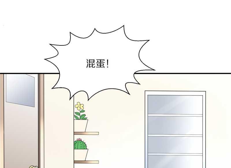 毛球星传说 第13集54