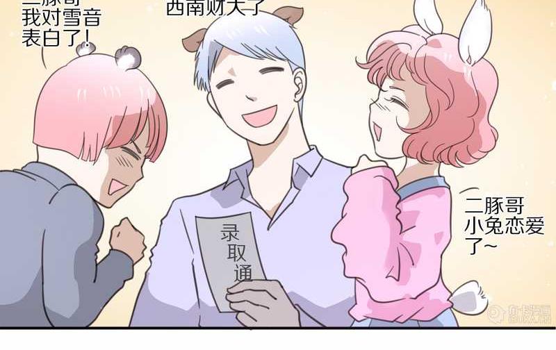 毛球星传说 第13集6