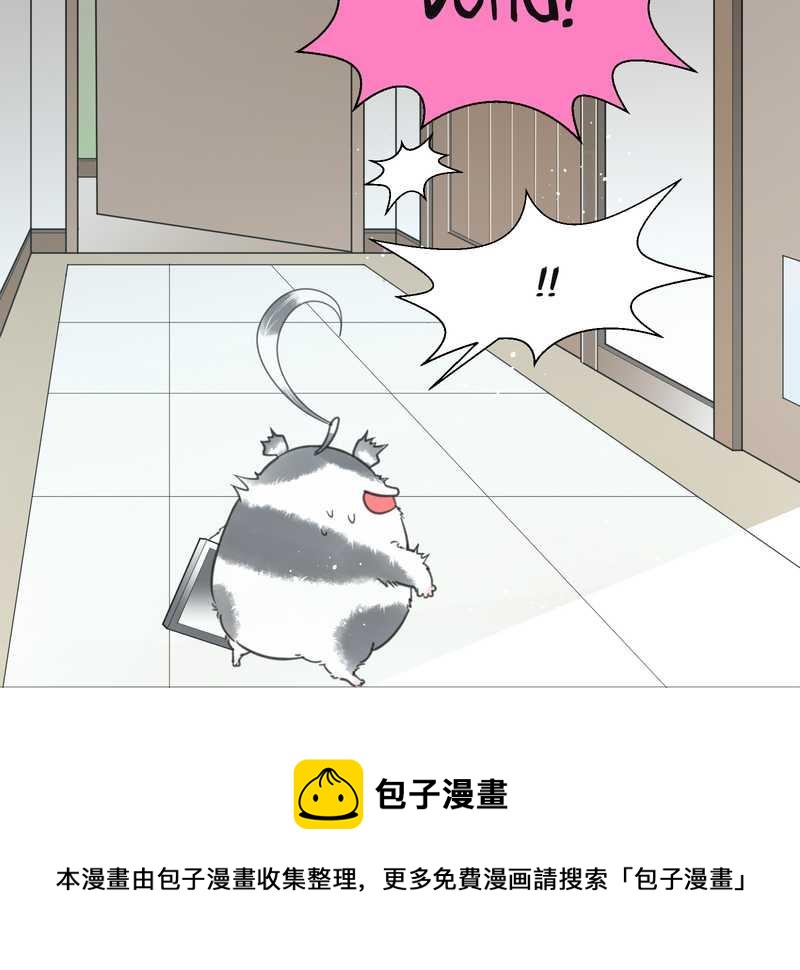 毛球星传说 第13集60