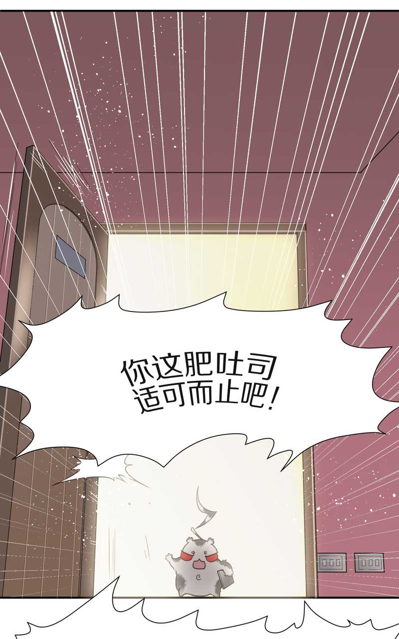 毛球星传说 第13集62