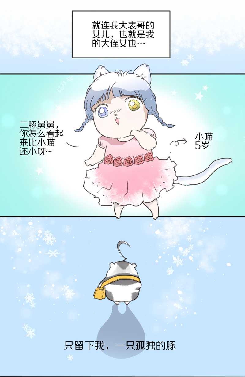 毛球星传说 第13集7