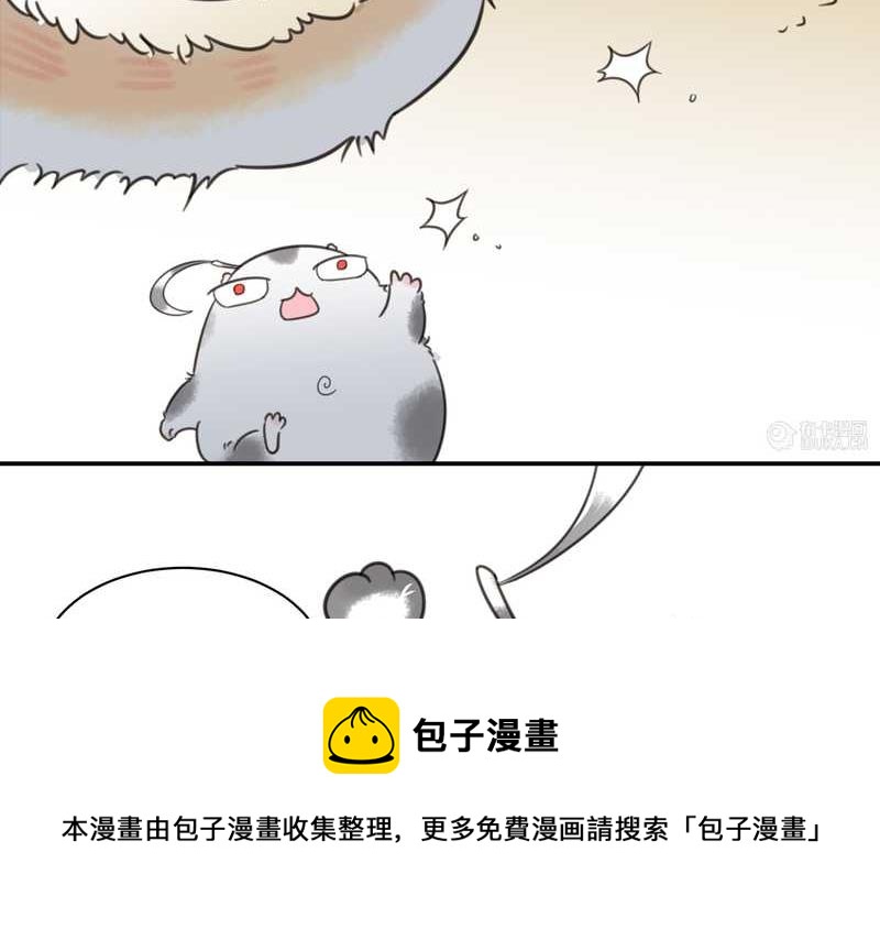 毛球星传说 第16集12