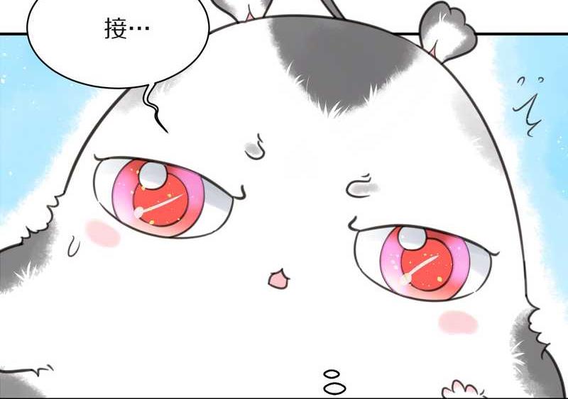 毛球星传说 第16集13