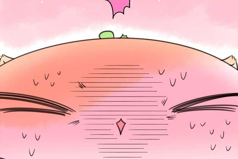 毛球星传说 第16集15