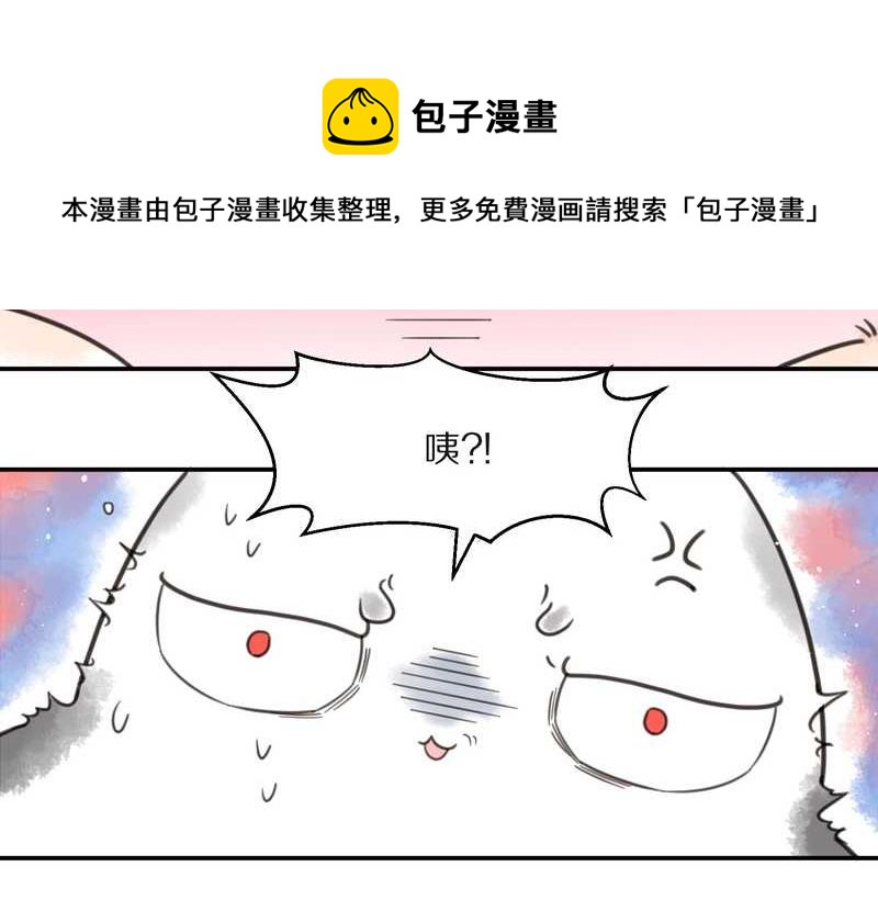 毛球星传说 第16集16