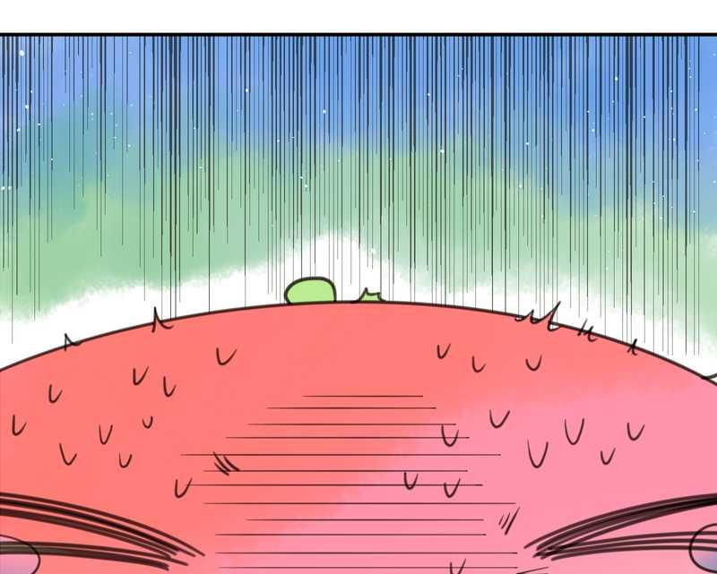 毛球星传说 第16集17