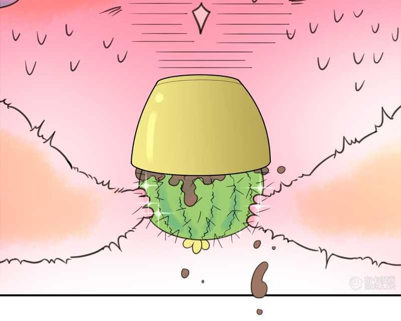 毛球星传说 第16集18