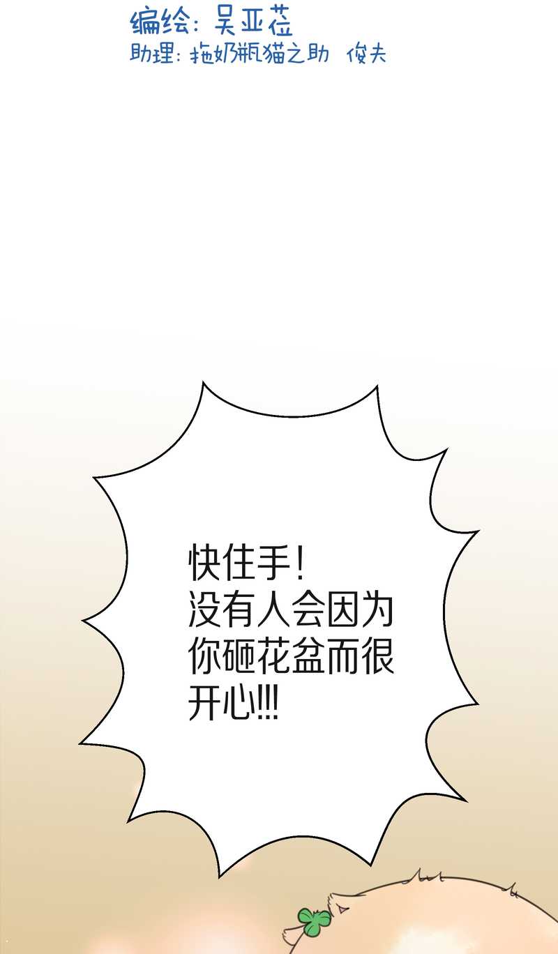 毛球星传说 第16集2