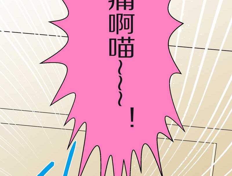 毛球星传说 第16集21