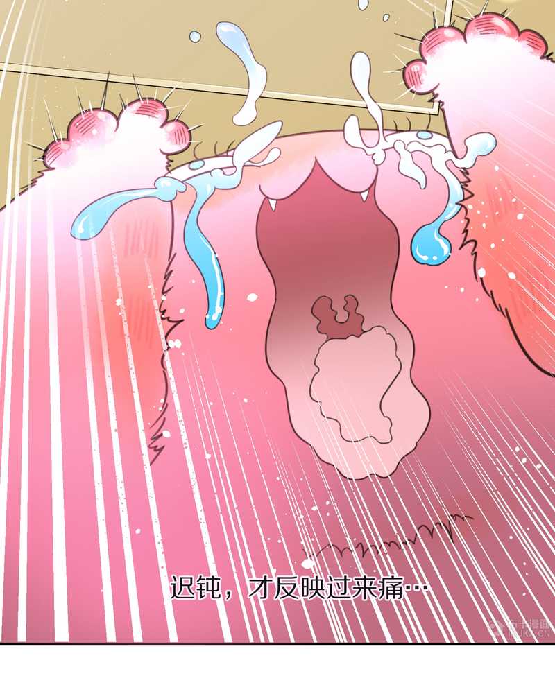 毛球星传说 第16集23