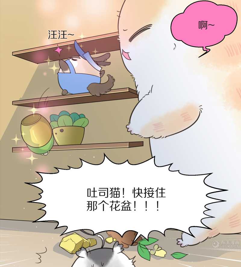 毛球星传说 第16集3