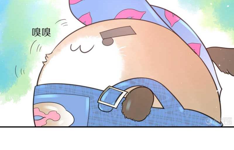 毛球星传说 第16集33