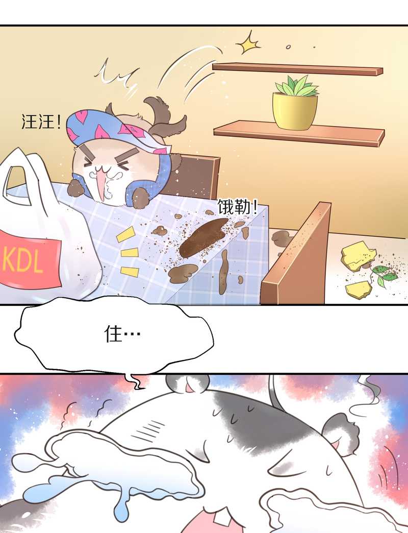 毛球星传说 第16集34