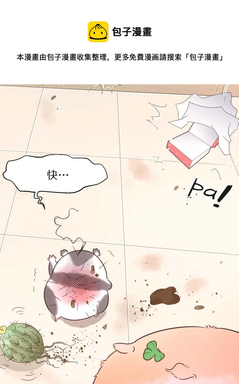 毛球星传说 第16集36