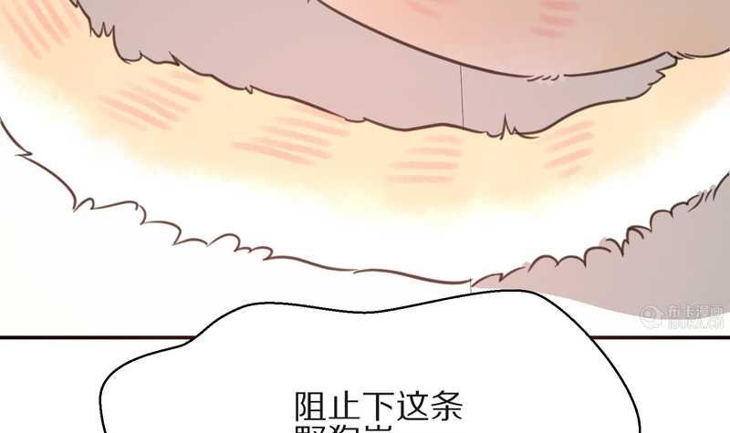 毛球星传说 第16集38